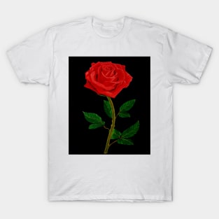 American Beauty T-Shirt